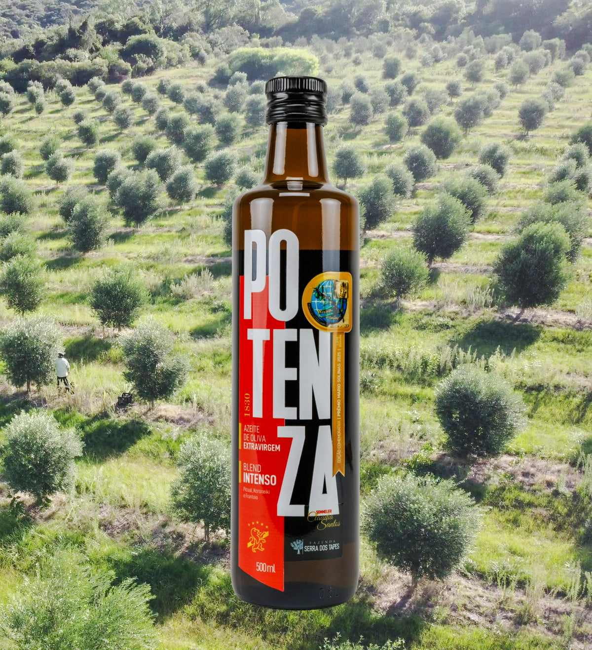 Fazenda Serra dos Tapes conquista o Prêmio Mario Solinas 2025