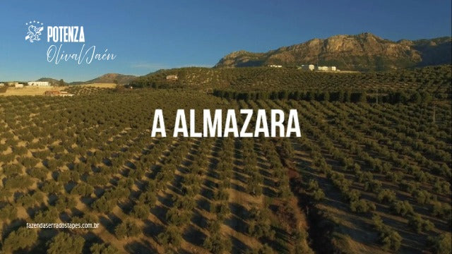 Cruz de Esteban: a almazara andaluza por trás da excelência do Potenza Olival Jaén